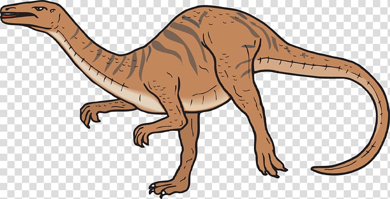 Coelophysis Spinosaurus Coelurus Compsognathus Chirostenotes, Brown dinosaur transparent background PNG clipart