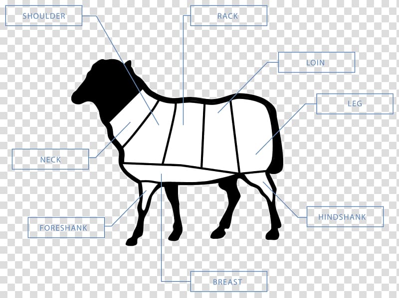 Cattle Horse Halter Pack animal Goat, Lamb Chops transparent background PNG clipart