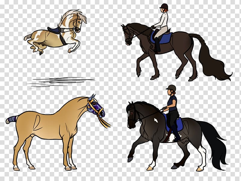 Mustang Equestrian English riding Rein Stallion, shots fired art transparent background PNG clipart