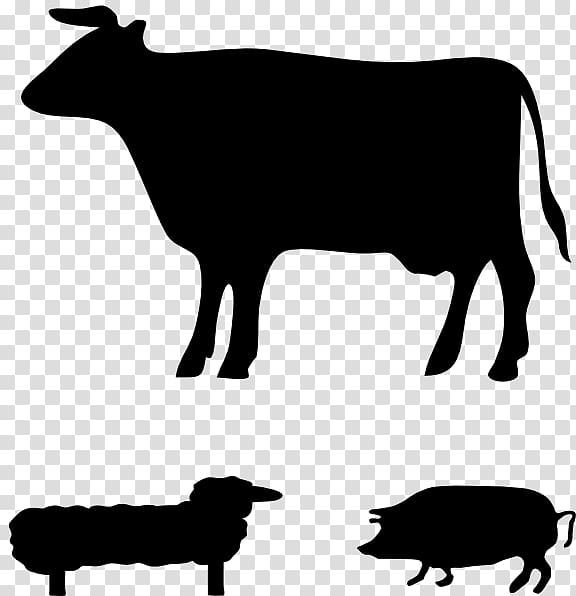 Angus cattle Jersey cattle Welsh Black cattle Guernsey cattle Holstein Friesian cattle, farm animals transparent background PNG clipart