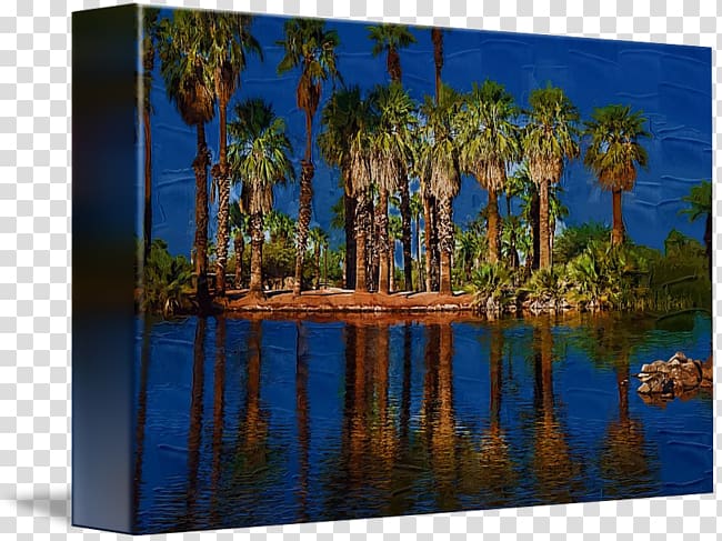 Majorelle Blue Majorelle Garden Bayou Painting Landscape, palm tree and water transparent background PNG clipart