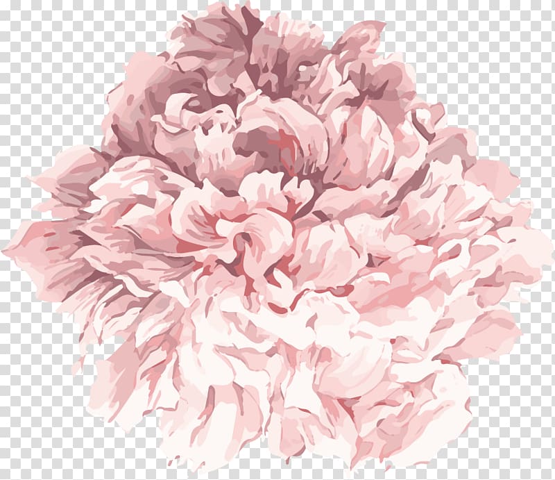cartoon hand painted watercolor light pink peony flower transparent background PNG clipart