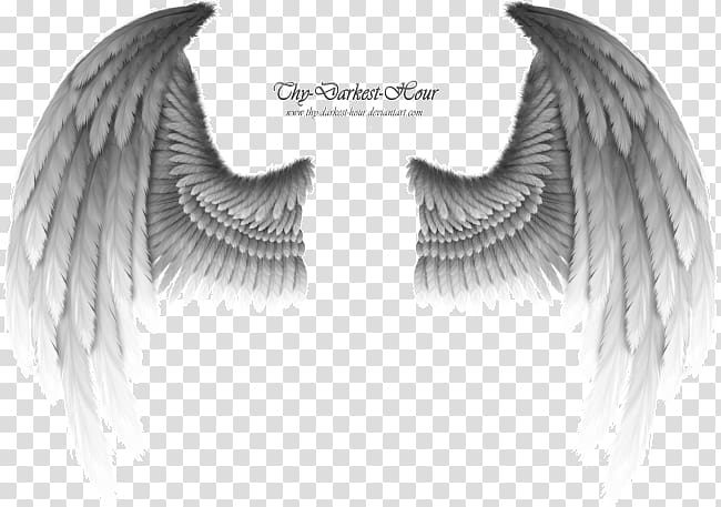 Angel , angel transparent background PNG clipart