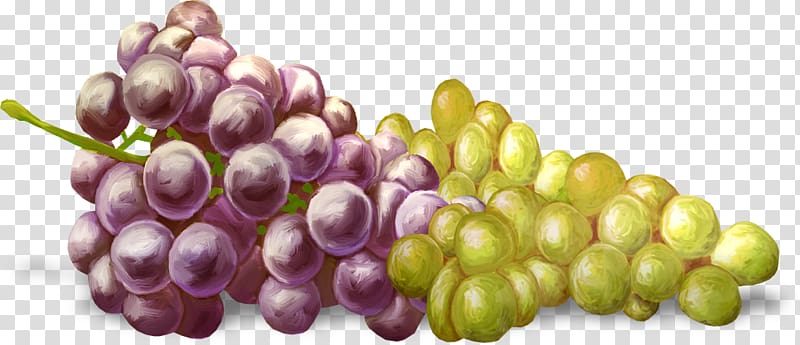 Kyoho Grape Fruit, Hand-painted grapes transparent background PNG clipart