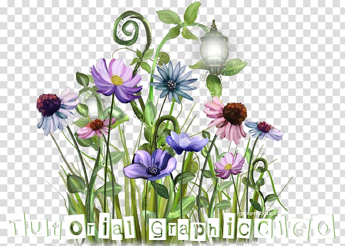 Flower Floral design Plant stem Internet forum, flower transparent background PNG clipart