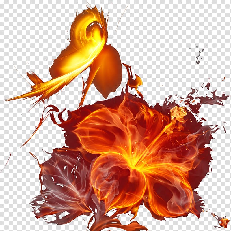Petal Desktop Botany Illustration, Red flames transparent background PNG clipart