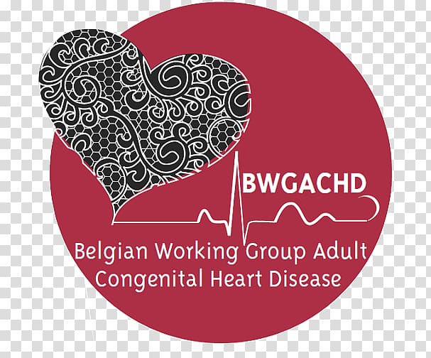 All About Heart Congenital heart defect Cardiovascular disease American Heart Association, heart transparent background PNG clipart