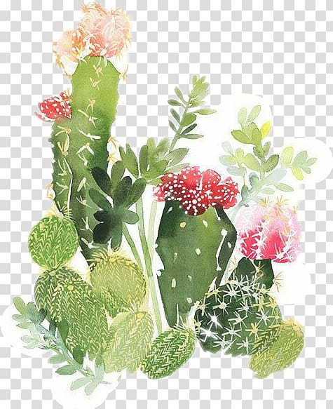 green and multicolored cacti illustration, Watercolour Flowers Watercolor painting Cactaceae Printmaking, painting transparent background PNG clipart