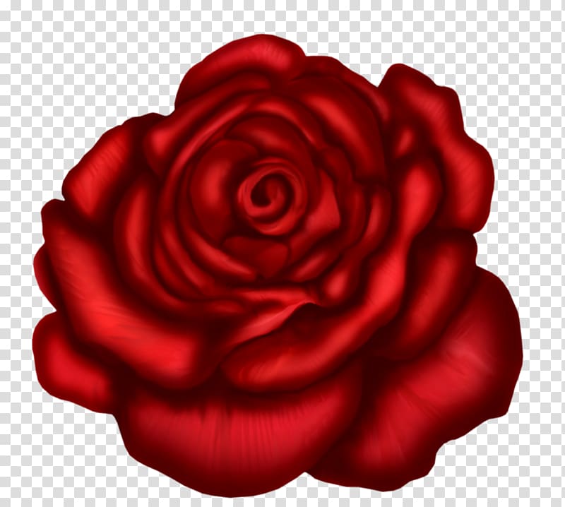 red rose , Rose Red , Red Rose Art transparent background PNG clipart