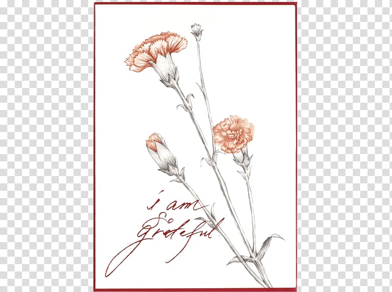 Floral design Paper Carnation Cut flowers, others transparent background PNG clipart