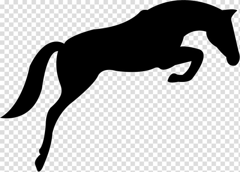 Dutch Warmblood Show jumping Equestrian , others transparent background PNG clipart