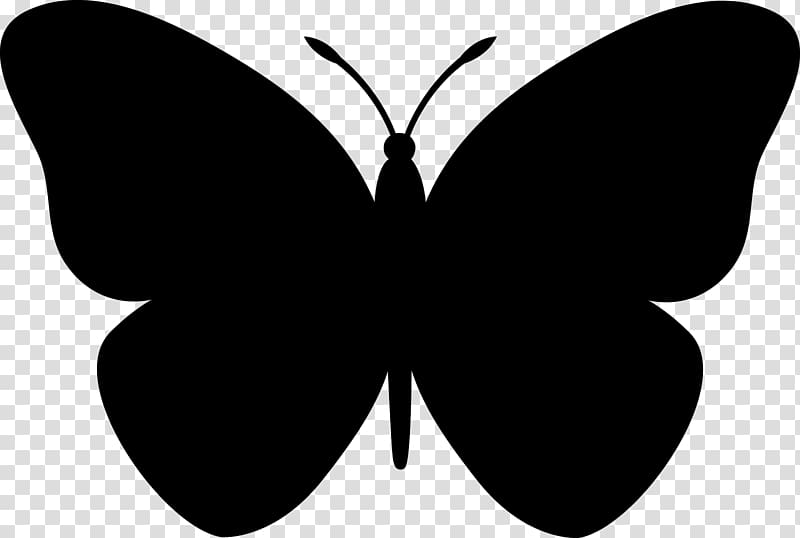 Butterfly Silhouette , black pasture silhoute transparent background PNG clipart