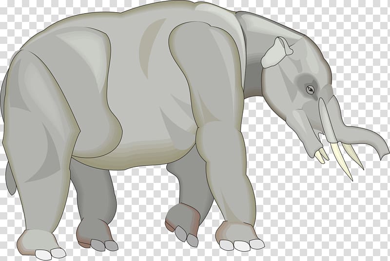 Elephant Tetralophodon Tusk , elephant transparent background PNG clipart