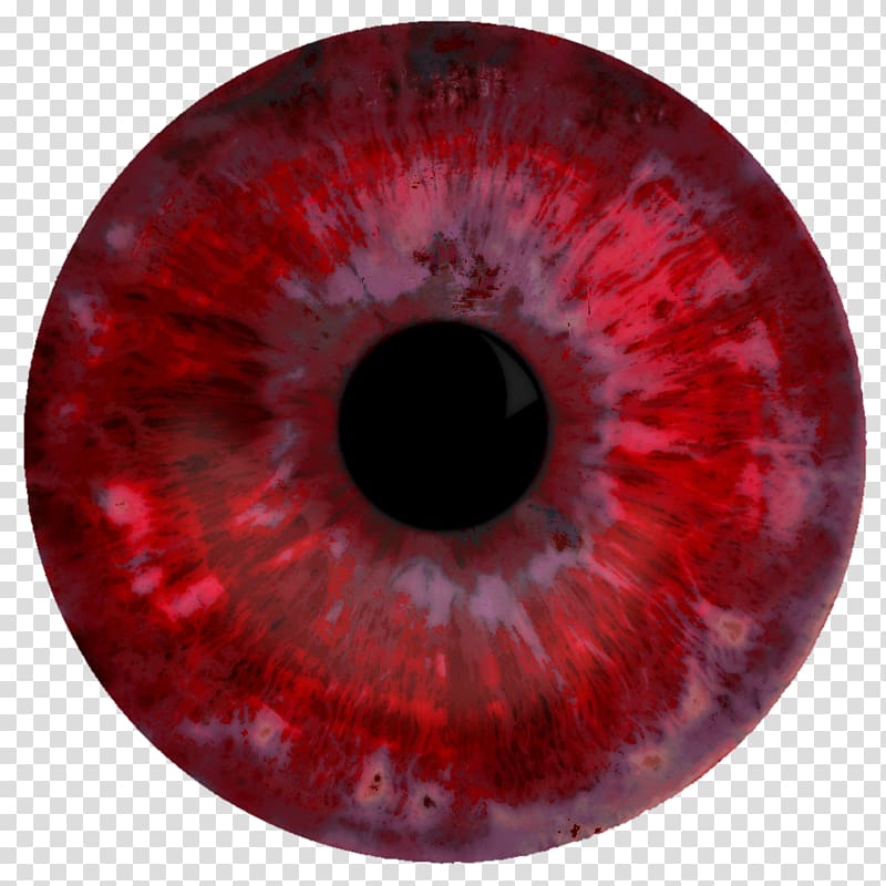 red eyeball, Red eye Iris Organ Pupil, eyes transparent background PNG clipart