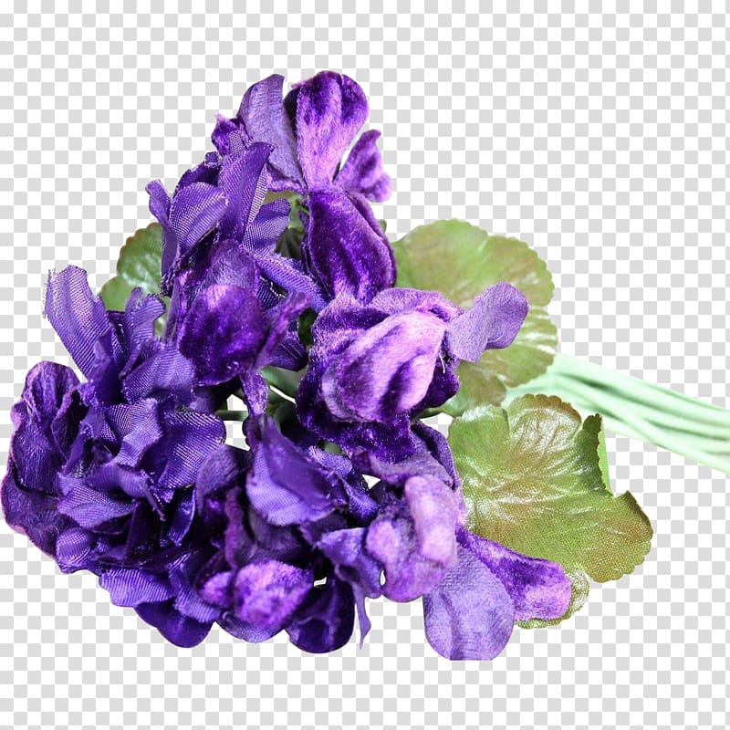 Cut flowers Violet Petal Corsage, flower transparent background PNG clipart