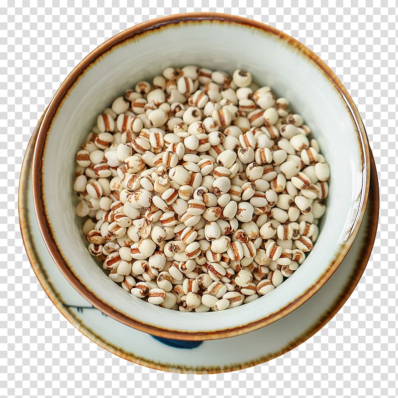 Cereal Icon, Dampness of barley transparent background PNG clipart