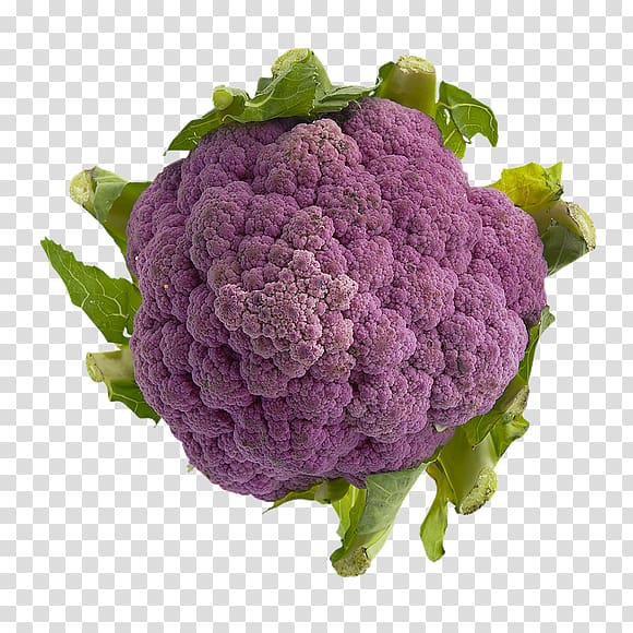 Cauliflower Broccoli Cabbage Chou Brussels sprout, cauliflower transparent background PNG clipart