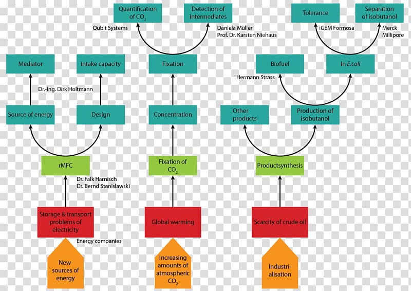 Issue tree Project Problem solving Analysis, design transparent background PNG clipart