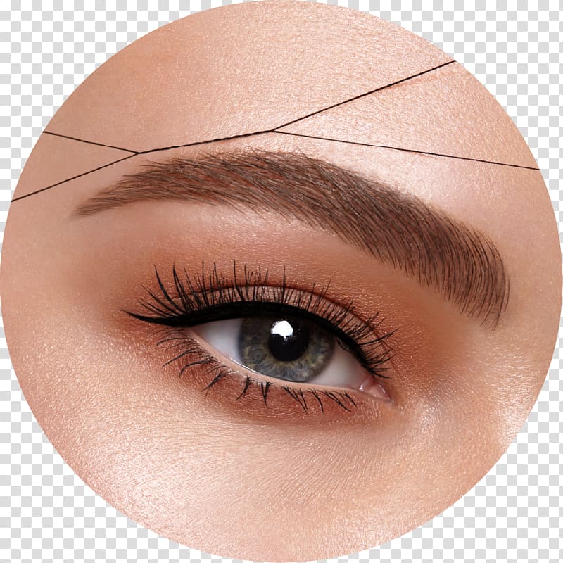 Eyelash extensions Eyebrow Beauty Parlour Hair Threading, hair transparent background PNG clipart