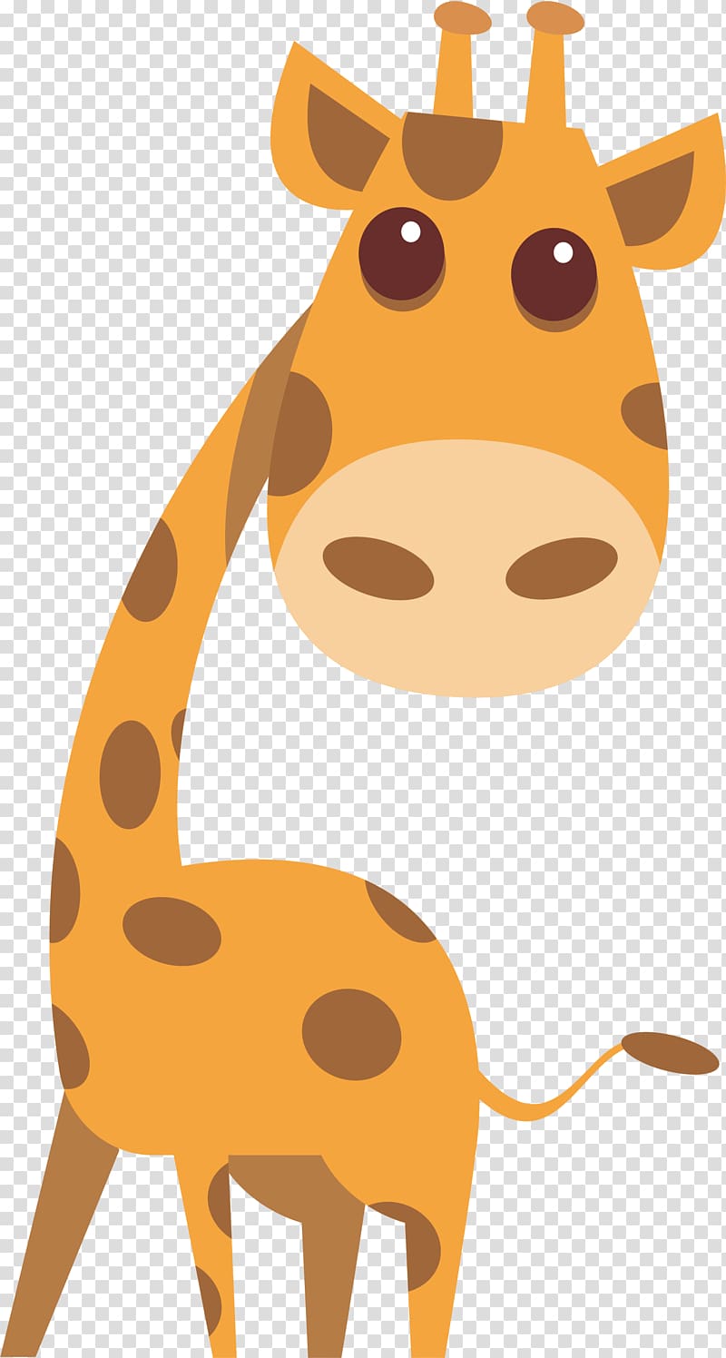 Northern giraffe , Cute big head Giraffe transparent background PNG clipart