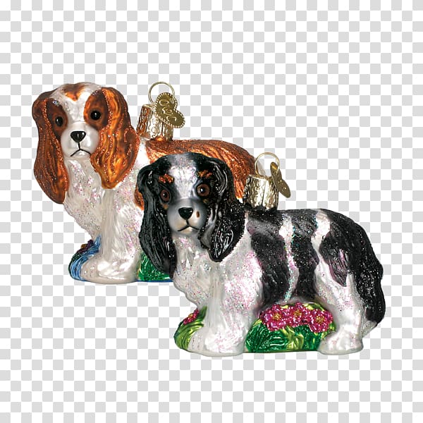 Cavalier King Charles Spaniel English Springer Spaniel Dog breed Companion dog, glass transparent background PNG clipart