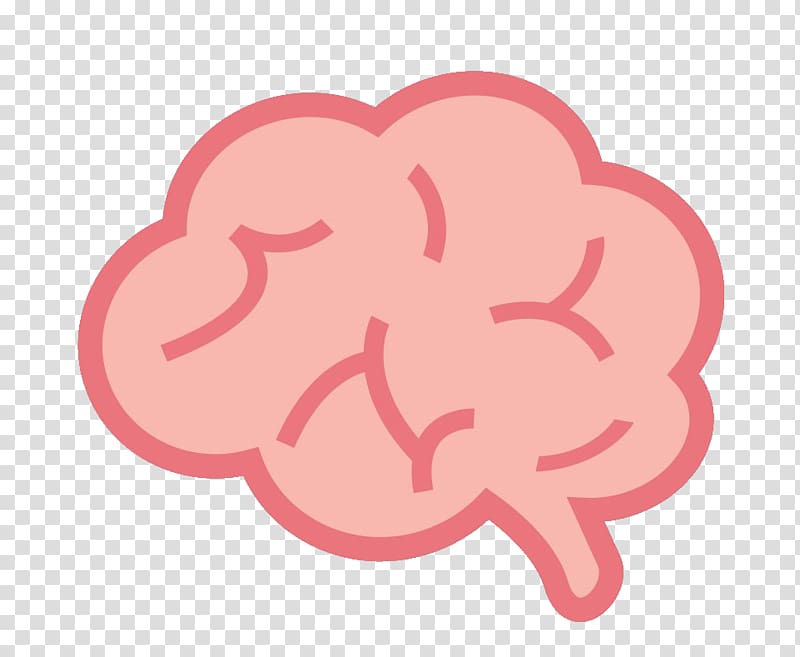 Human brain Cerebrum , Brain transparent background PNG clipart