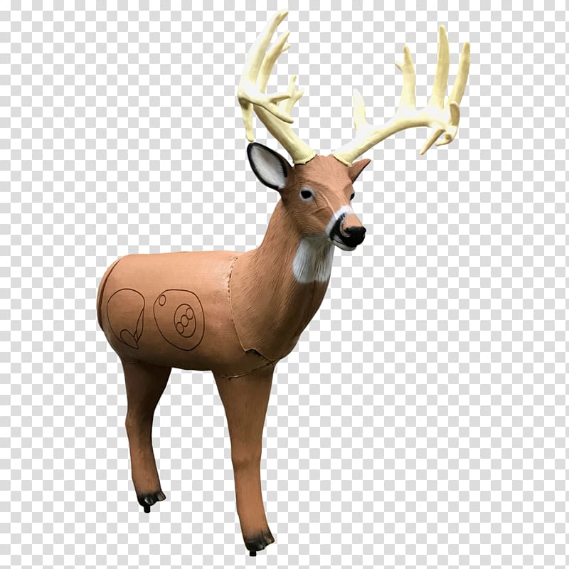 Reindeer Target archery White-tailed deer Shooting target, Target Point transparent background PNG clipart
