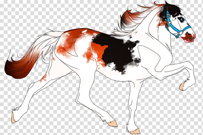 Pony Mustang Mane Sabino horse Dun locus, mustang transparent background PNG clipart