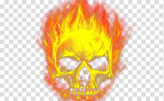 Flame skull transparent background PNG clipart | HiClipart