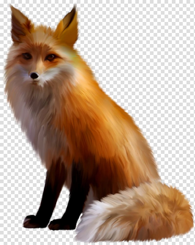 Fox transparent background PNG clipart