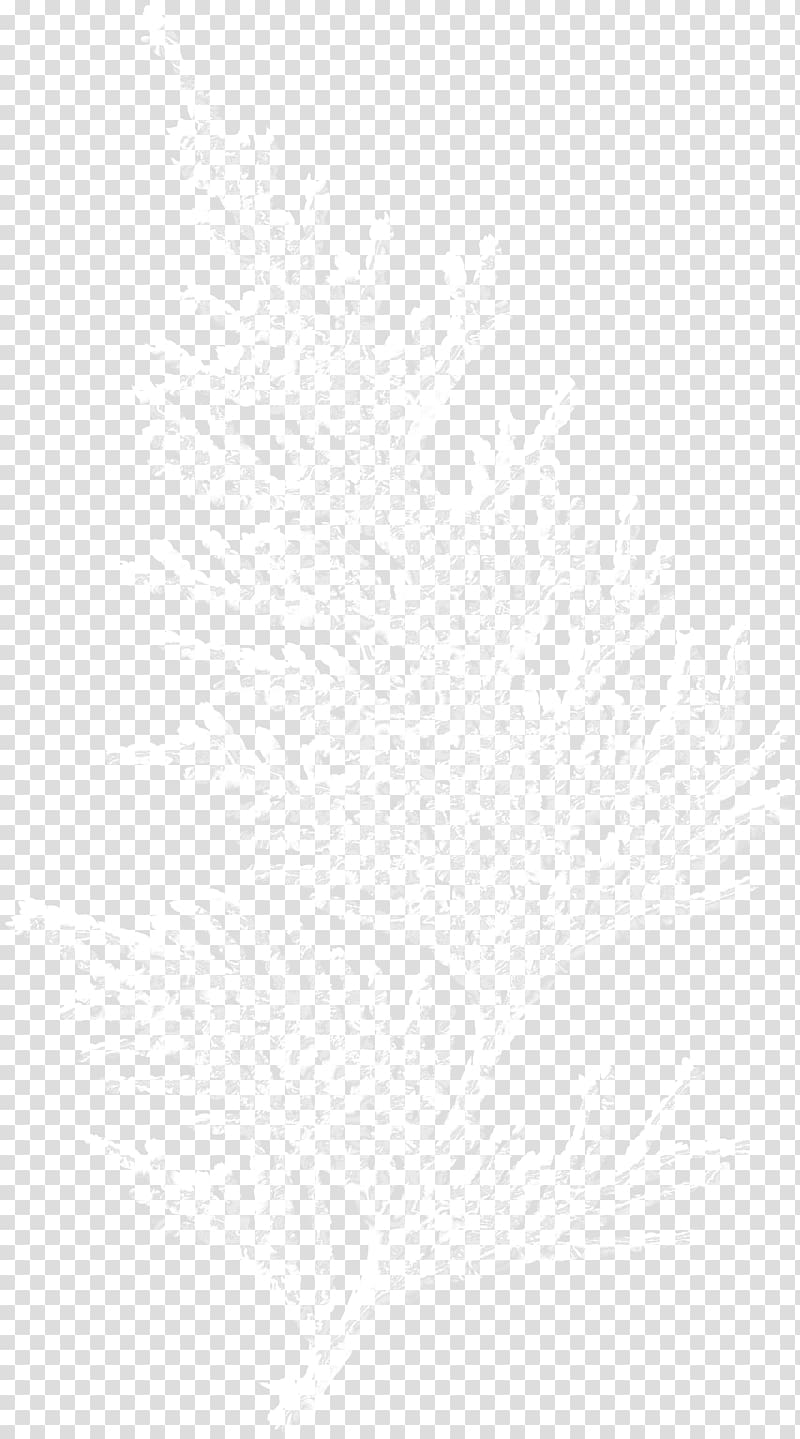 White Black Angle Area Pattern, Snow Tree transparent background PNG clipart