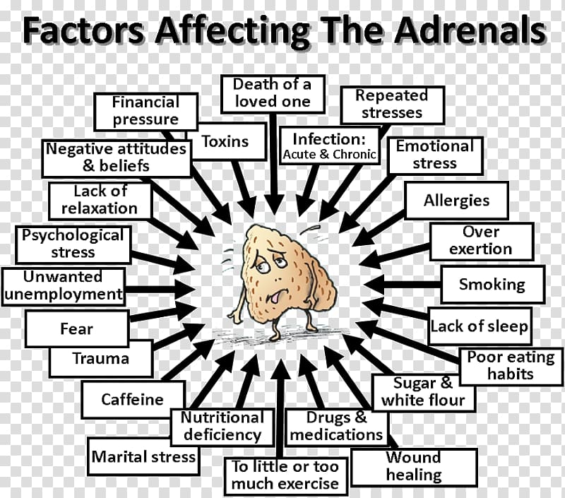 Adrenal fatigue Adrenal gland Hormone Stress, cartoon fatigue transparent background PNG clipart
