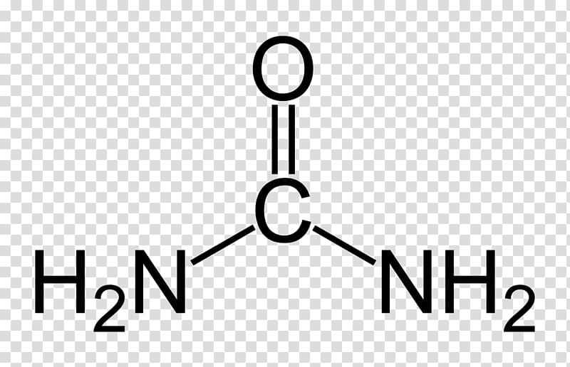 Urea cycle Organic compound Organic chemistry Chemical compound, dot formula transparent background PNG clipart