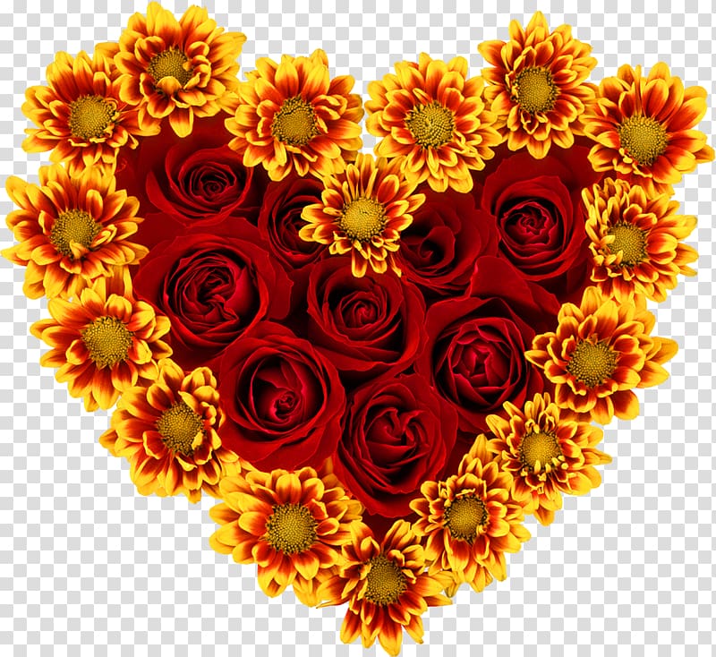 Common sunflower Rose Heart Desktop , flayer transparent background PNG clipart