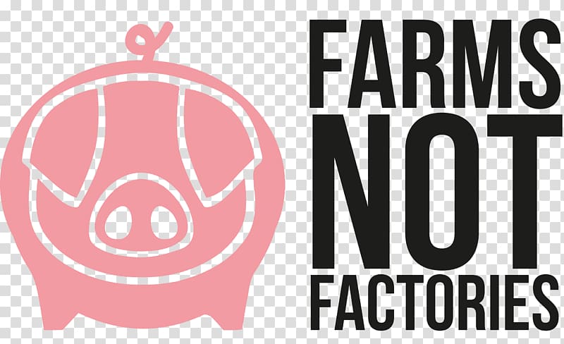 Intensive animal farming Agriculture Intensive pig farming Farmer, farmer transparent background PNG clipart
