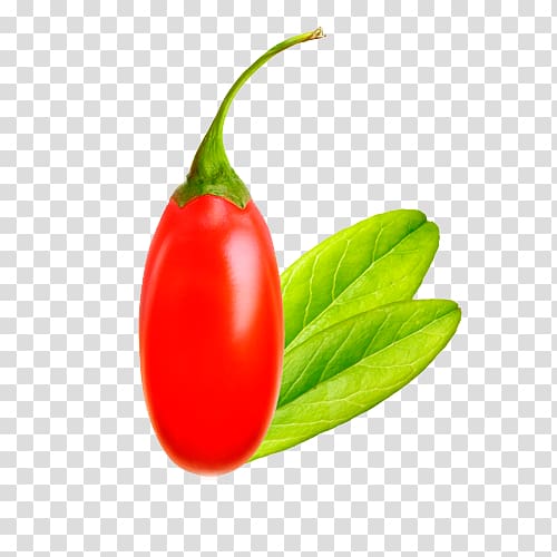 Habanero Tomato Jalapeño Goji Berry, tomato transparent background PNG clipart