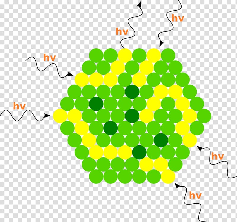 Light n synthesis Chloroplast Energy, light transparent background PNG clipart