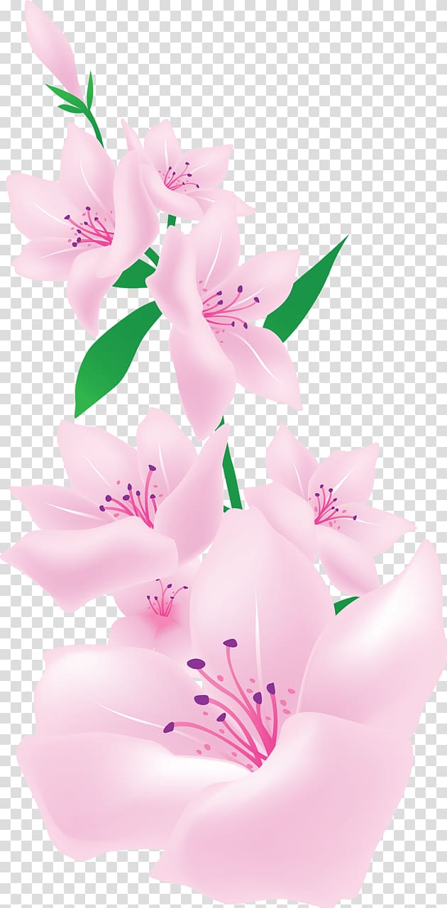 Pink flowers , pink light transparent background PNG clipart