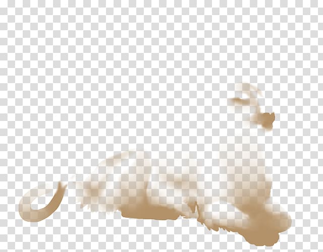 Cat Dog Ear Canidae Tail, Cat transparent background PNG clipart