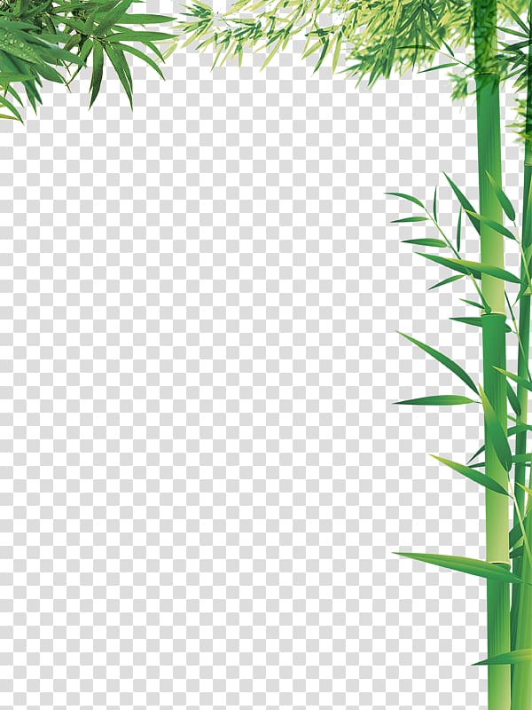 Bamboo Column Bamboe, Green column transparent background PNG clipart