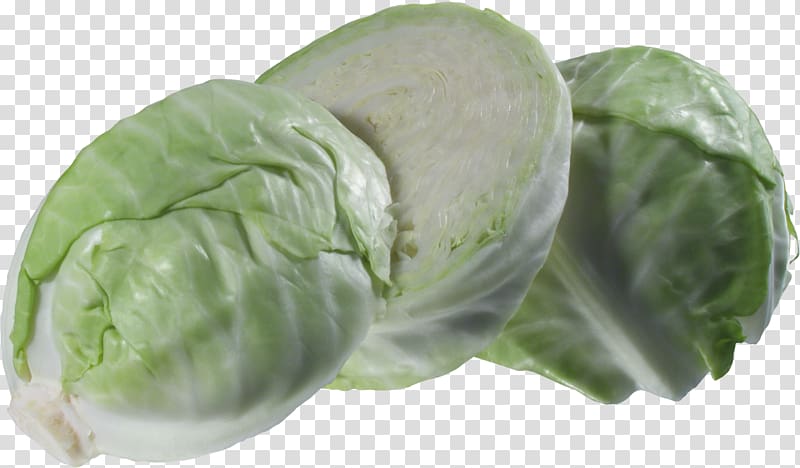 Cruciferous vegetables Cabbage roll Tursu Napa cabbage, Chinese cabbage transparent background PNG clipart