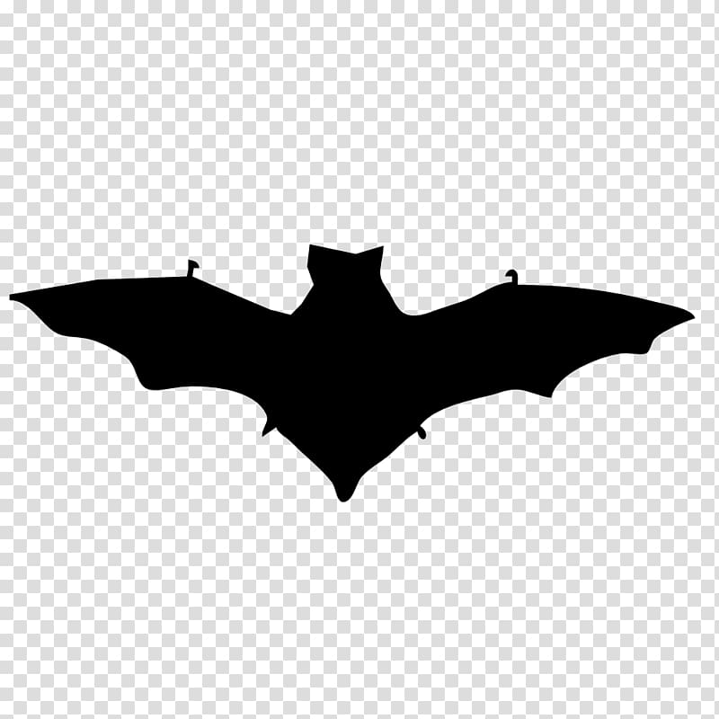 Bat Computer Icons , small hamster transparent background PNG clipart