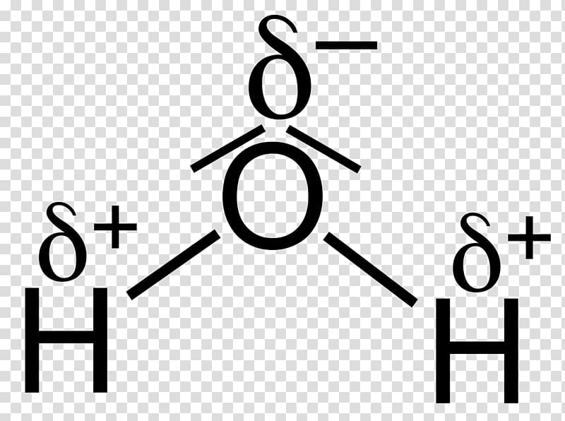 Chemical polarity Partial charge Water Lone pair Electric charge, h transparent background PNG clipart