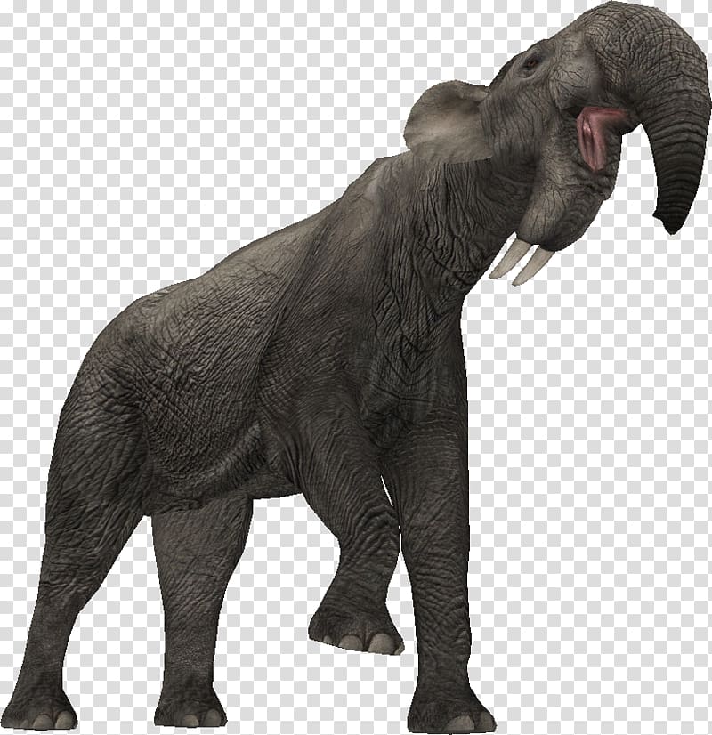 Indian elephant African elephant Zoo Tycoon 2: Extinct Animals Deinotherium, african forest elephant transparent background PNG clipart