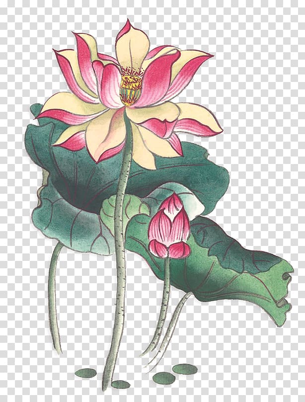 Nelumbo nucifera Ink wash painting Watercolor painting Chinoiserie, Watercolor lotus material transparent background PNG clipart