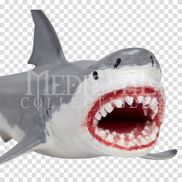 Tiger shark Megalodon Great white shark Cartilaginous fishes, shark transparent background PNG clipart