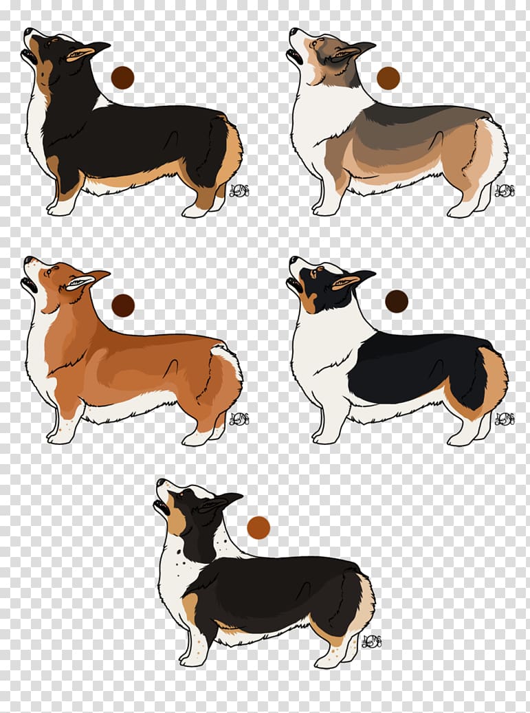 Dog breed Illustration Cartoon, corgi husky mix transparent background PNG clipart