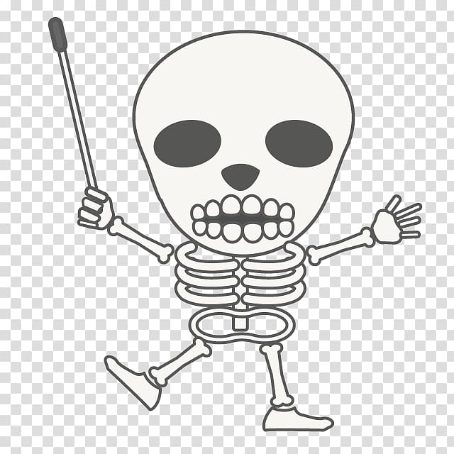 Bone Illustration Osteopathy Seitai, Skeleton transparent background PNG clipart