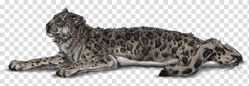 Whiskers Cat Snow leopard Dog, snowleopard transparent background PNG clipart