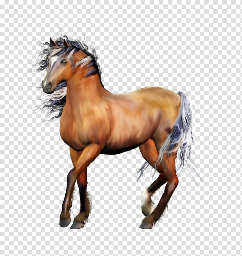 Horse Animation, Handsome horses sticker transparent background PNG clipart